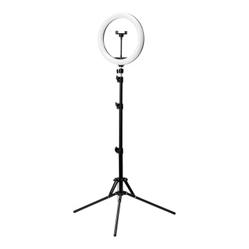 GLOW Ringlicht 13" BSC mit Stativ 10W