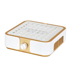 Staubfilter MOMO P30 60 W gold